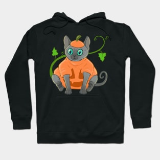 Pumpkin Cat Hoodie